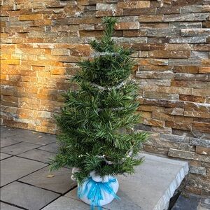 25” Green Artificial Christmas Tree with White Base